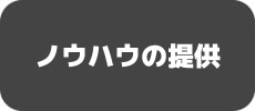 ノウハウの提供